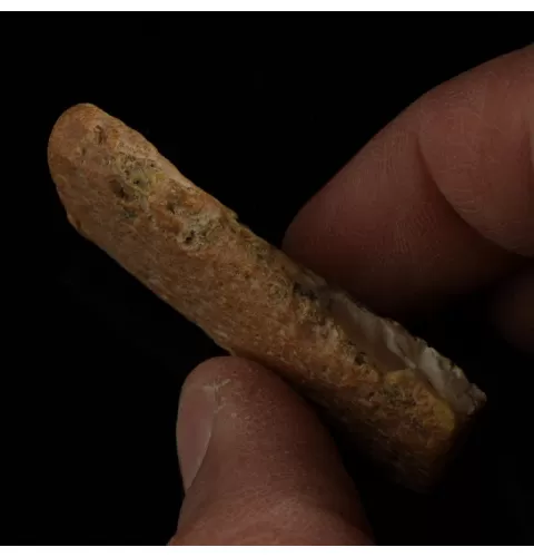 Raw Rough Genuine Baltic amber 8g Stone