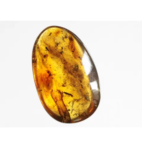Swarm Insect inclusions in Baltic amber fossil amulet stone