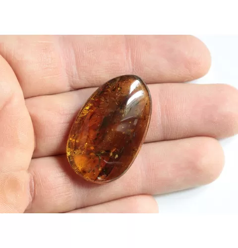 Swarm Insect inclusions in Baltic amber fossil amulet stone