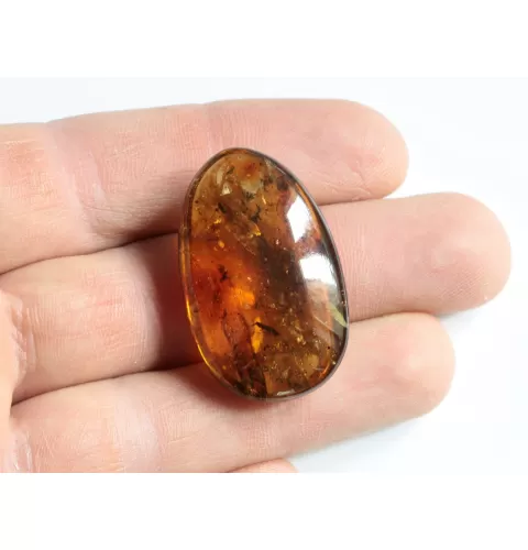 Swarm Insect inclusions in Baltic amber fossil amulet stone