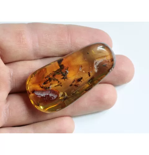 Swarm Insect inclusions in Baltic amber fossil big stone