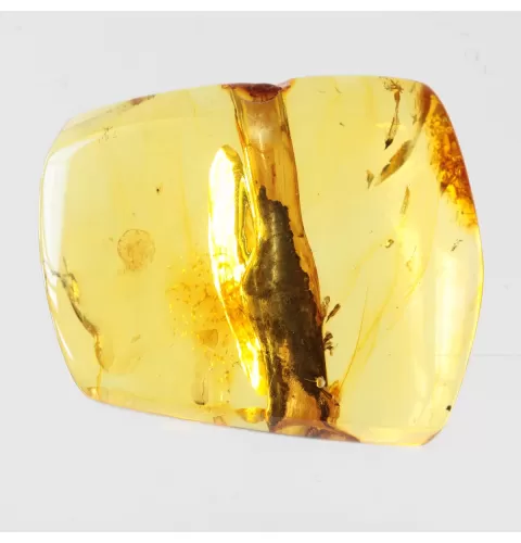 Rare Stalactite Free-Shaped Baltic Amber Stone