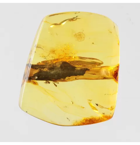 Rare Stalactite Free-Shaped Baltic Amber Stone
