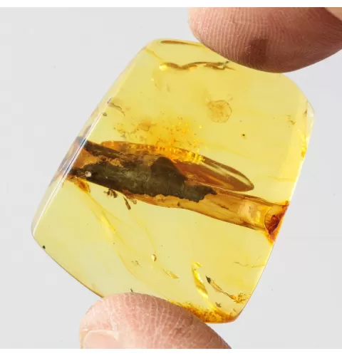 Rare Stalactite Free-Shaped Baltic Amber Stone