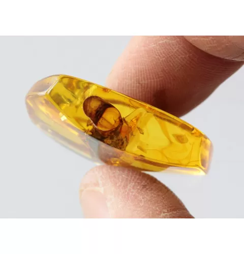 Rare Stalactite Free-Shaped Baltic Amber Stone