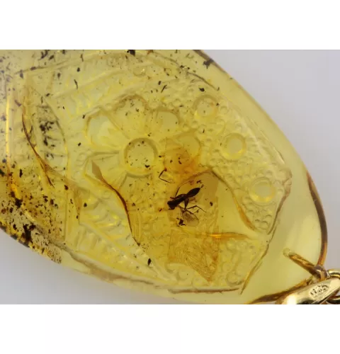 Winged Scale Insect in Carved Amulet Baltic amber fossil pendant