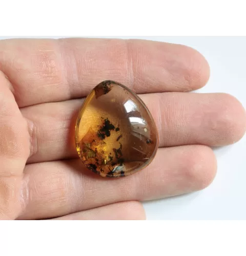 Diptera Insect inclusions in Baltic amber fossil amulet stone