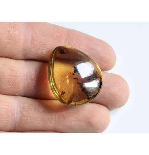 Diptera Insect inclusions in Baltic amber fossil amulet stone
