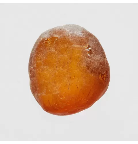 Natural rare Baltic amber resin drop with cracks
