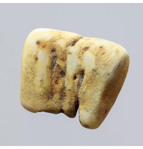 Raw Rough White Genuine Baltic amber 5g Stone
