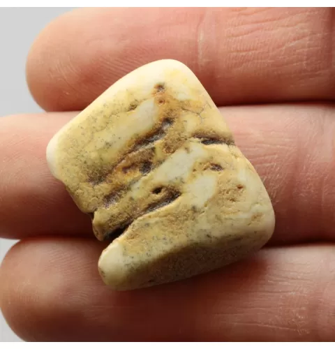 Raw Rough White Genuine Baltic amber 5g Stone