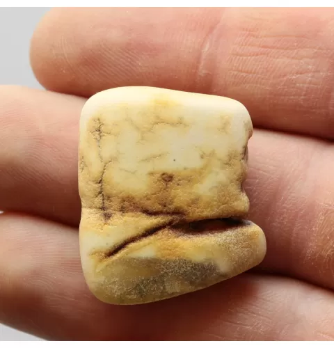 Raw Rough White Genuine Baltic amber 5g Stone