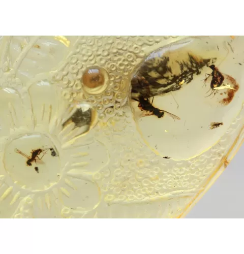 Swarm Insects in Carved Amulet Baltic amber fossil pendant