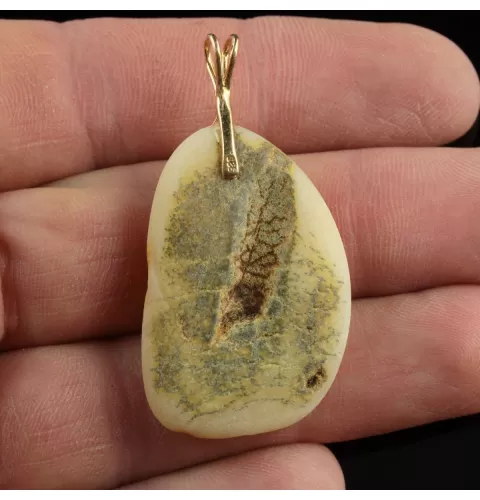 Genuine Baltic Amber Gold Plated Amulet Pendant