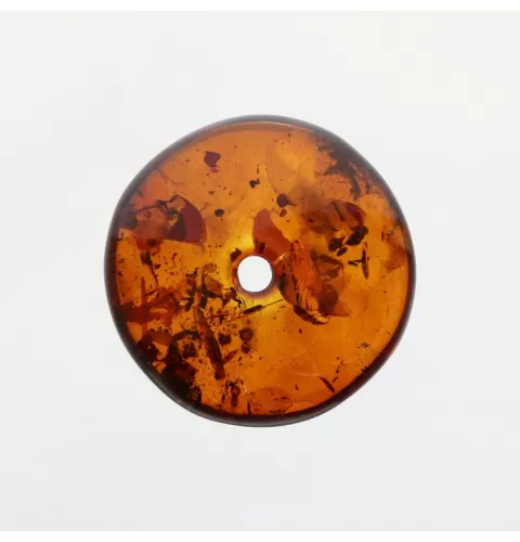 Donut shape Baltic amber pendant medallion