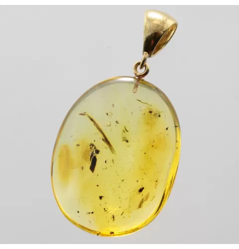 Drop Baltic amber pendulum pendant w insect inclusion