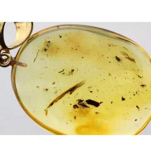 Drop Baltic amber pendulum pendant w insect inclusion