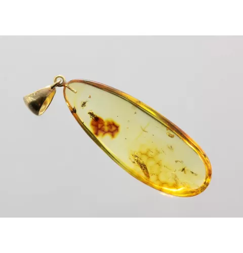 Drop Baltic amber pendulum pendant w insect inclusion