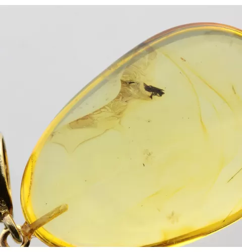 Drop Baltic amber pendulum pendant w insect inclusion