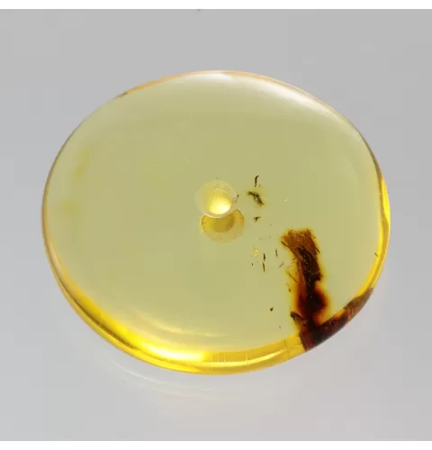 Large Donut shape Baltic amber pendant medallion