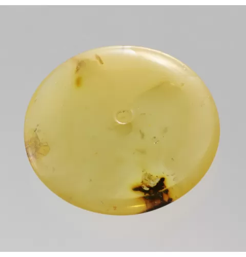 Large Donut shape Baltic amber pendant medallion