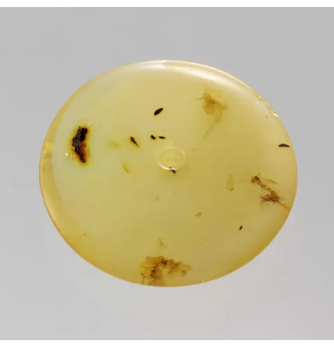 Large Donut shape Baltic amber pendant medallion