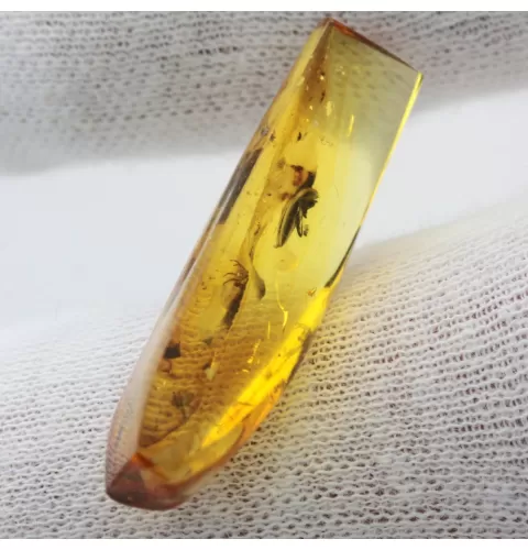 Beetle Insect inclusions in Baltic amber fossil stone