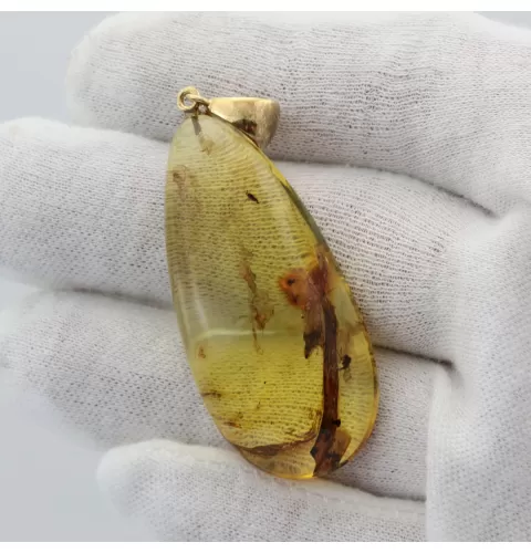 Insect inclusions in Baltic amber fossil big stone