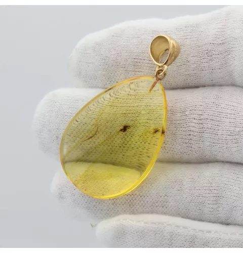 Insect inclusions in Baltic amber fossil big stone