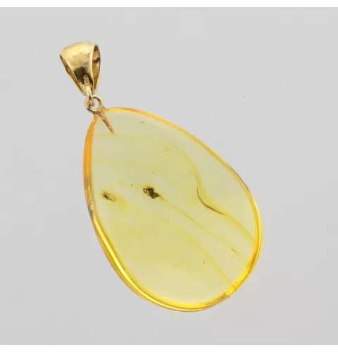 Insect inclusions in Baltic amber fossil big stone