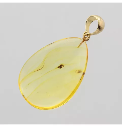 Insect inclusions in Baltic amber fossil big stone