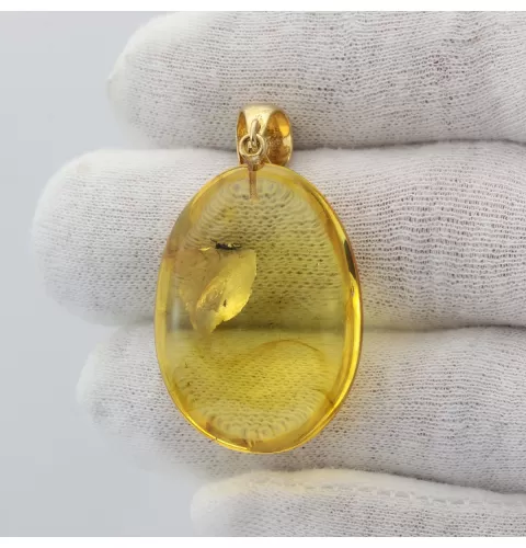 Insect inclusion in Baltic amber fossil big stone