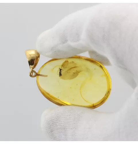 Insect inclusion in Baltic amber fossil big stone