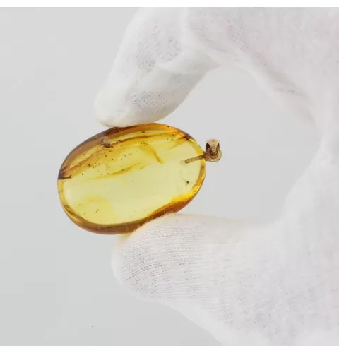 Gnat Insect inclusion in Baltic amber fossil big stone