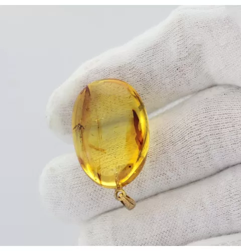 Gnat Insect inclusion in Baltic amber fossil big stone