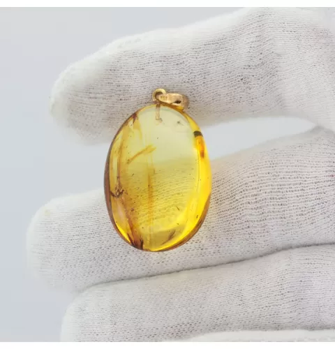 Gnat Insect inclusion in Baltic amber fossil big stone