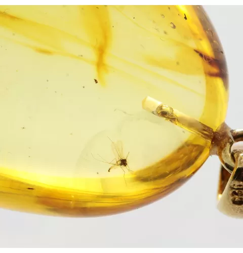Gnat Insect inclusion in Baltic amber fossil big stone