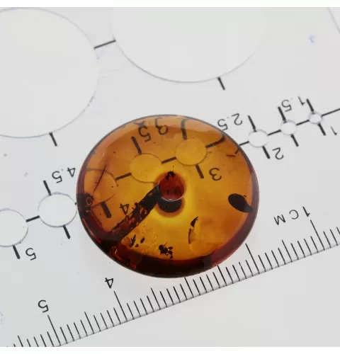 Donut shape Baltic amber pendant medallion