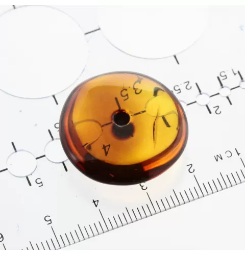 Donut shape Baltic amber pendant medallion