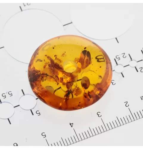Donut shape Baltic amber pendant medallion