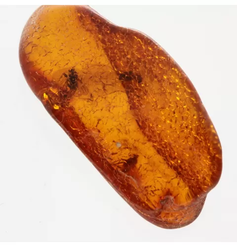 3 Flies inclusions in Baltic amber fossil stone