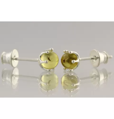 Fossil Studs Baltic amber Silver Earrings