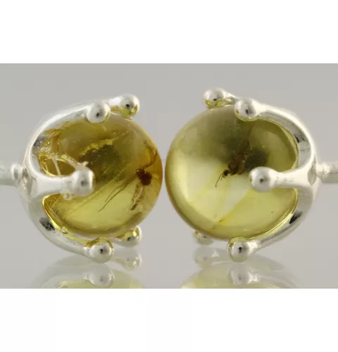Fossil Studs Baltic amber Silver Earrings