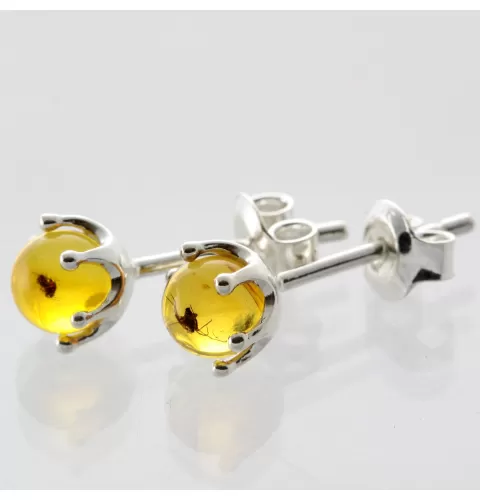 Fossil Studs Baltic amber Silver Earrings