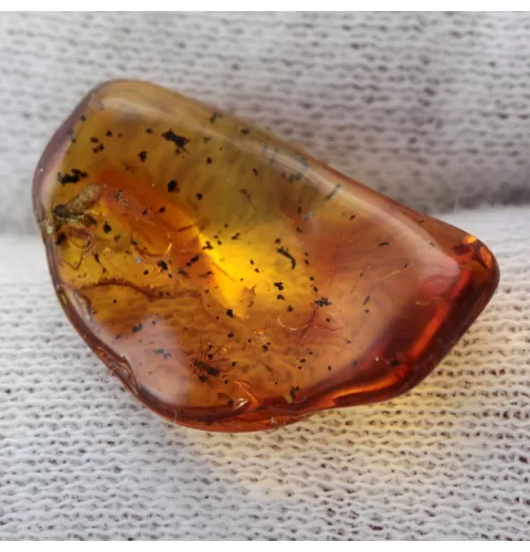 Gnats Insects in Baltic Amber Fossil Specimen