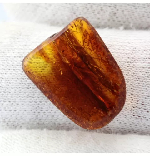 Gnat Insect in Baltic Amber Fossil Specimen