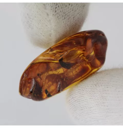 Baltic Amber Fossil Specimen with Insect Inclusion