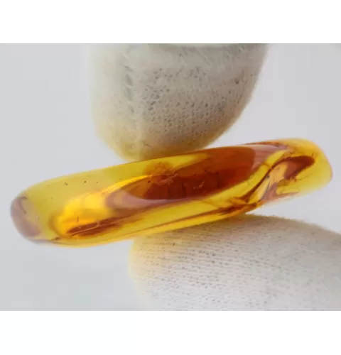 Gnats trapped in Baltic Amber Fossil Specimen