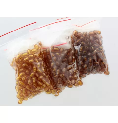 300 Twist screw clasps