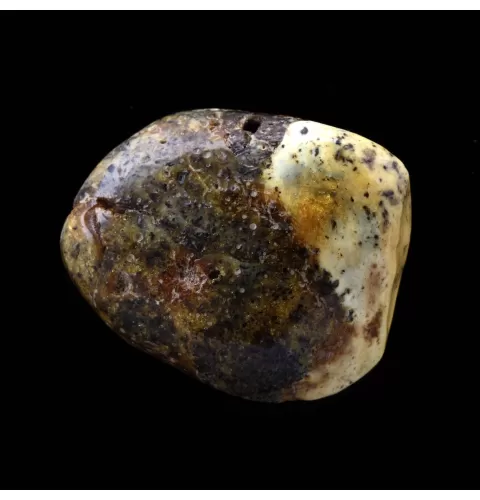 Polished Rough Genuine Baltic amber Fossil Stone